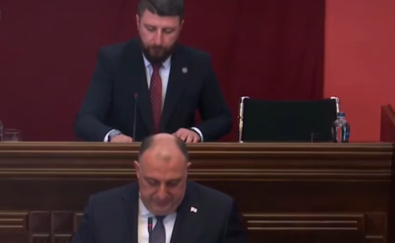 გენერალურ პროკურორს "ოცნებამ" არ მისცა საშუალება, ელაპარაკა პოლიცილების მიერ ჩადენილ ძალადობის ფაქტებზე