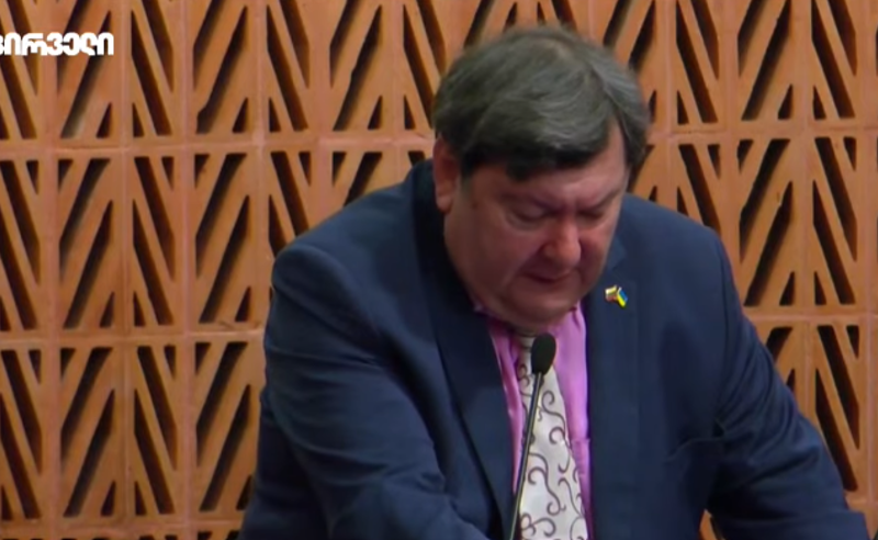 "გაათავისუფლეთ პოლიტიკური პატიმრები" - ემანუელ ზინგერისის მიმართვა ივანიშვილს