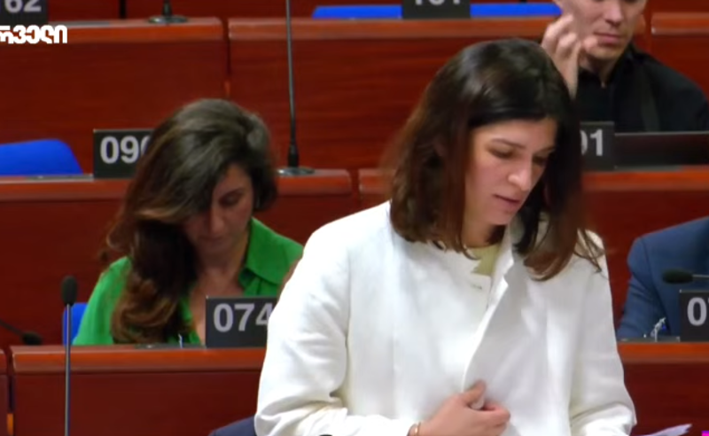 "თუ ჩვენი პრინციპები არ მოგწონთ, სხვა პრინციპებიც გვაქვს" - ევროსაბჭოს საპარლამენტო ასამბლეის დეპუტატი