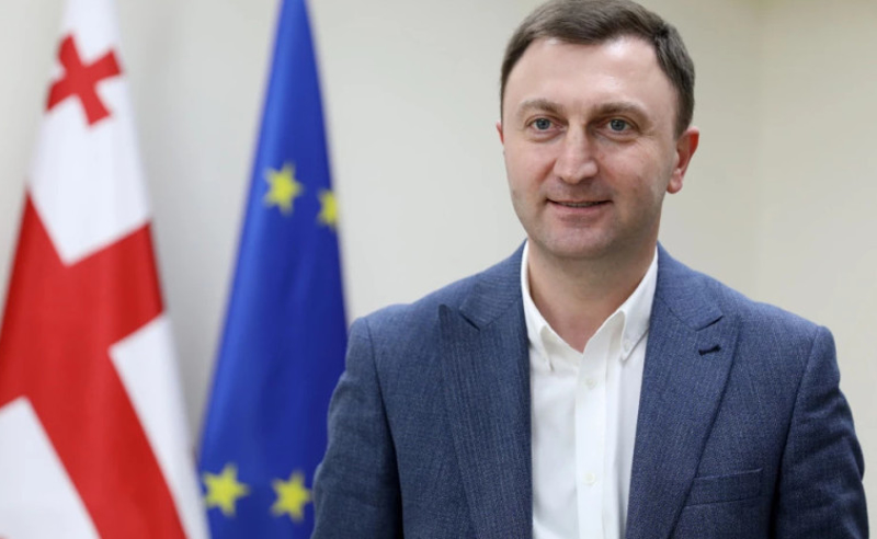 სააფთიაქო ნარკომანიის საქმეზე ერთ-ერთი ბრალდებული ჯანდაცვის მინისტრის ყოფილი მოადგილეა 