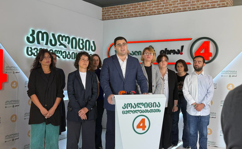 "დროა": თითოეული დღე, როცა ელენე არ არის გადაყვანილი სამოქალაქო კლინიკაში, მის ჯანმრთელობაზე შეგნებული დარტყმაა