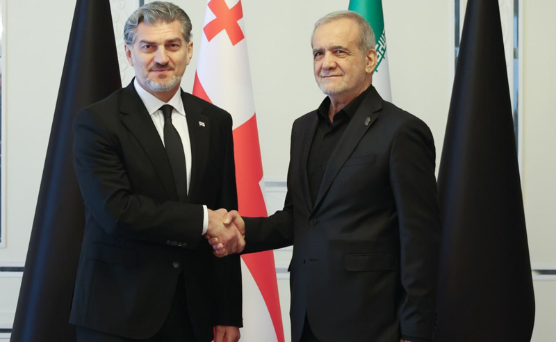 მიხეილ ყაველაშვილი ირანის პრეზიდენტს შეხვდა