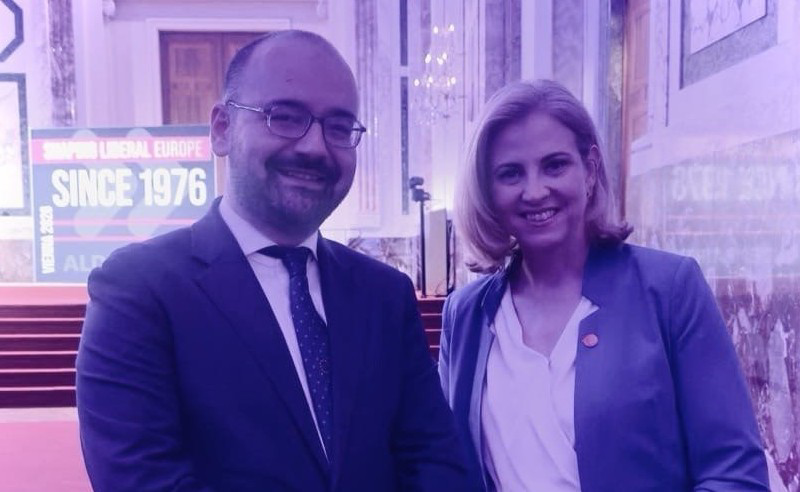 გრიგოლ გეგელია ავსტრიის საგარეო საქმეთა მინისტრს შეხვდა
