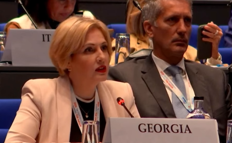 "ბევრ მცდარ და გადაუმოწმებელ ინფორმაციას შეიცავს" - ეკა სეფაშვილმა ეუთოს მოსკოვის მექანიზმის ანგარიში გააკრიტიკა 