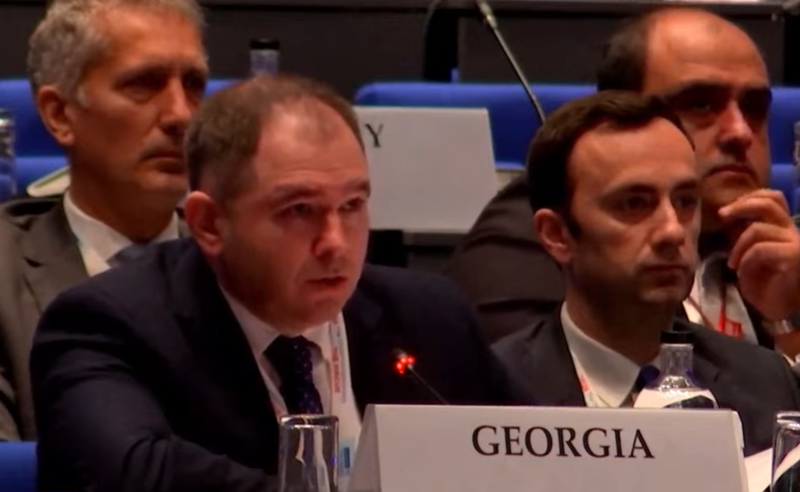 ეუთოს ანგარიშს საბოლოო ჭეშმარიტებად ვერ მივიჩნევთ - ნიკოლოზ სამხარაძე