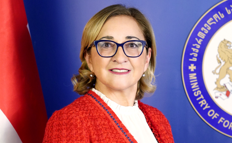 დიპლომატიის აკადემიის რექტორის თანამდებობაზე თამარ ბერუჩაშვილი დაინიშნა