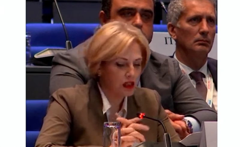 სეფაშვილი: საქართველოს შესახებ რეზოლუცია პოლიტიკური მოტივაციითა და დეზინფორმაციითაა გაჯერებული