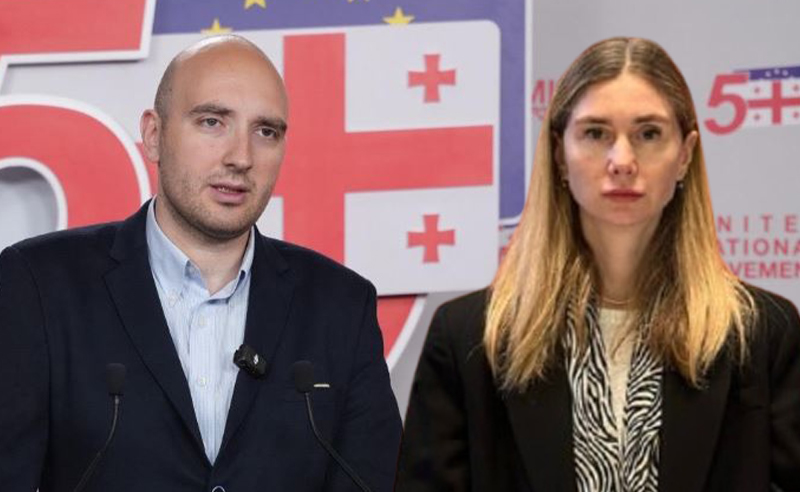 თინა ბოკუჩავასთვის თავმჯდომარეობა არასდროს არ ყოფილა ერთადერთი ბრძოლის ფორმა - ირაკლი ფავლენიშვილი