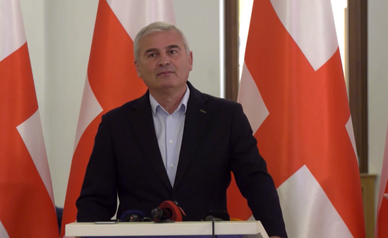ქადაგიშვილი ეუთოზე: როდესაც შენ მიერვე გაკეთებული დასკვნის დაცვა არ შეგიძლია - რა აზრი აქვს შენს მოწვევას?