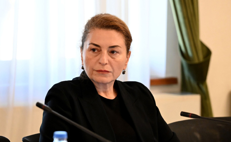 "ოცნება" არჩევნების ბოლომდე განადგურება  ცდილობს - სოფო ხორგუანი