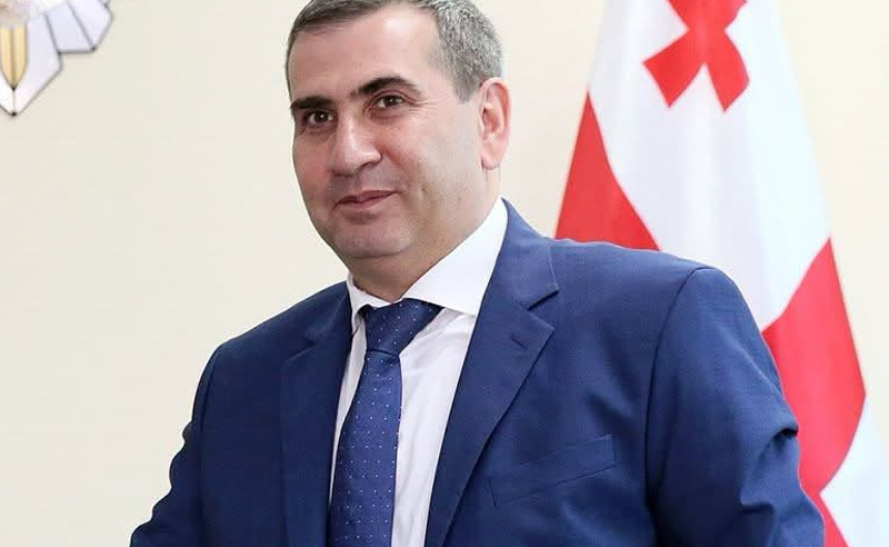 კაცი, რომელიც თემირლან მაჩალიკაშვილის საქმეში ფიგურირებს, ცენტრალური კრიმინალური პოლიციის დეპარტამენტის დირექტორის მოადგილე გახდა
