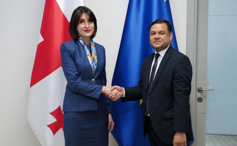 მაკა ბოჭორიშვილი საქართველოში ინდოეთის რესპუბლიკის ელჩს შეხვდა