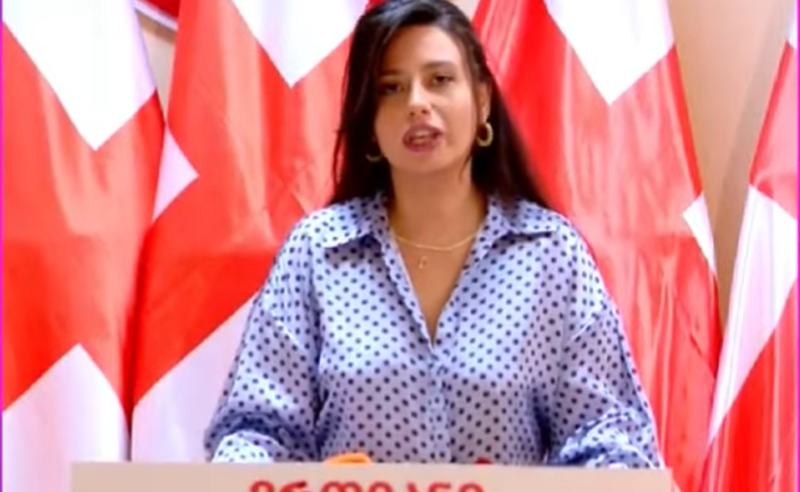 ენმ: თბილისში მომხდარ ტრაგიკულ შემთხვევებზე პასუხისმგებელი კალაძე და ივანიშვილის კორუმპირებული რეჟიმია