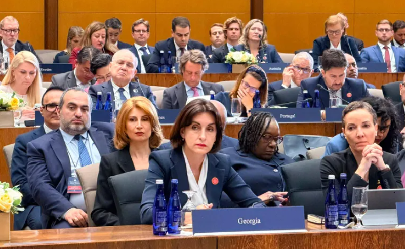 ბოჭორიშვილი ამტკიცებს, რომ ქვეყანაში "რადიკალური ჯგუფები" ინსტიტუტების დისკრედიტაციას ცდილობენ - რა თქვა მინისტრმა ვაშინგტონში