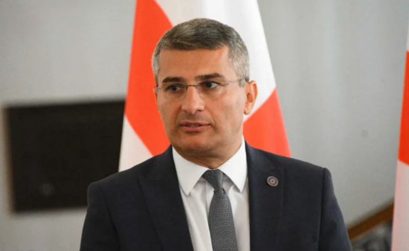 მდინარაძემ საქართველოს მიმართ რეზოლუციების მიღება "მცოცავ ოკუპაციას" შეადარა და მას „მხტუნავი პიარ-სვლა“ უწოდა