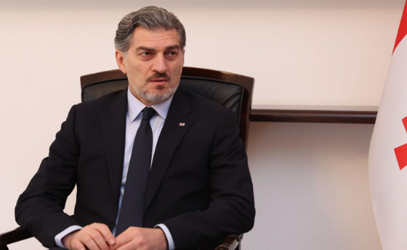 მე საქართველოს პრეზიდენტი ვარ - მიხეილ ყაველაშვილი