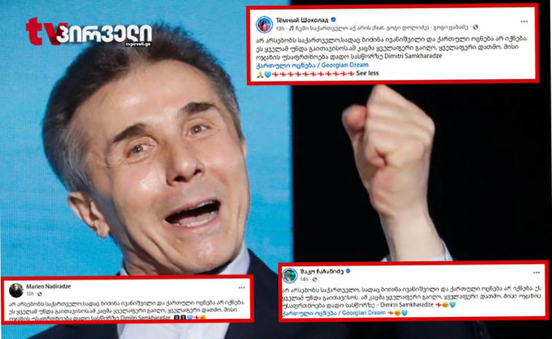 საჯარო მოხელეები ივანიშვილს იდენტური ტექსტებით აქებენ