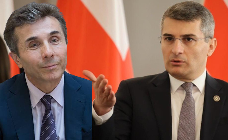 ოპოზიცია ასახელებს შესაძლო მიზეზებს, რატომ "მოიძულა ივანიშვილმა მდინარაძე"