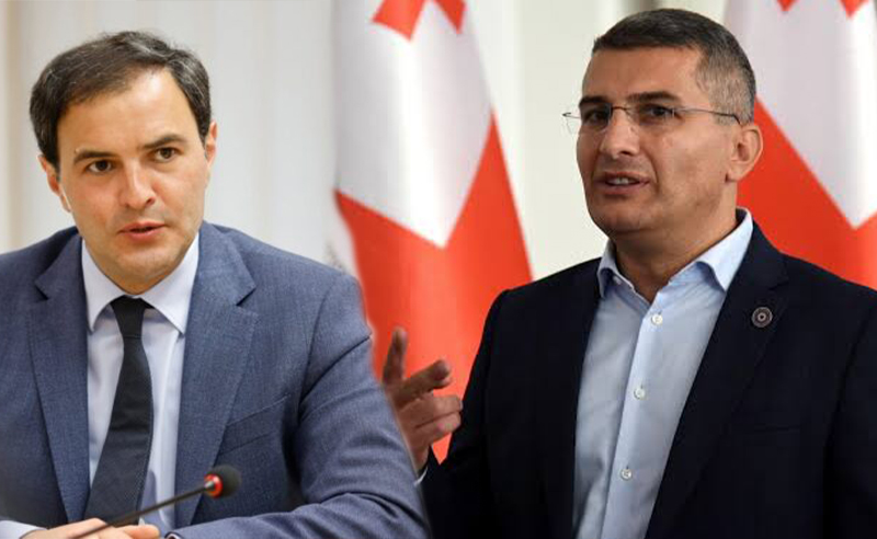 "ზარდიაშვილთან დაპირისპირება ჩემთან დაპირისპირებაა"- "ოცნების" ყოფილი წევრი იხსენებს, როგორ "იცავდა" მდინარაძე "პროტეჟეს"