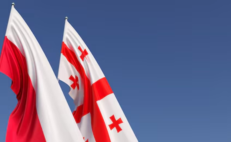 პოლონეთის საგარეო: რუსეთის მიერ საქართველოს წინააღმდეგ აგრესიის მე-18 წლისთავზე, სოლიდარობას ვუცხადებთ ქართველ ხალხს