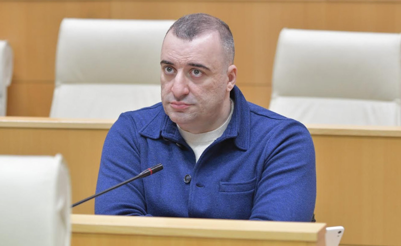 აფხაზეთში ბიზნესის მიერ გაგზავნილი ტვირთი 3 ათასი ტონაა - რატი იონათამიშვილი 