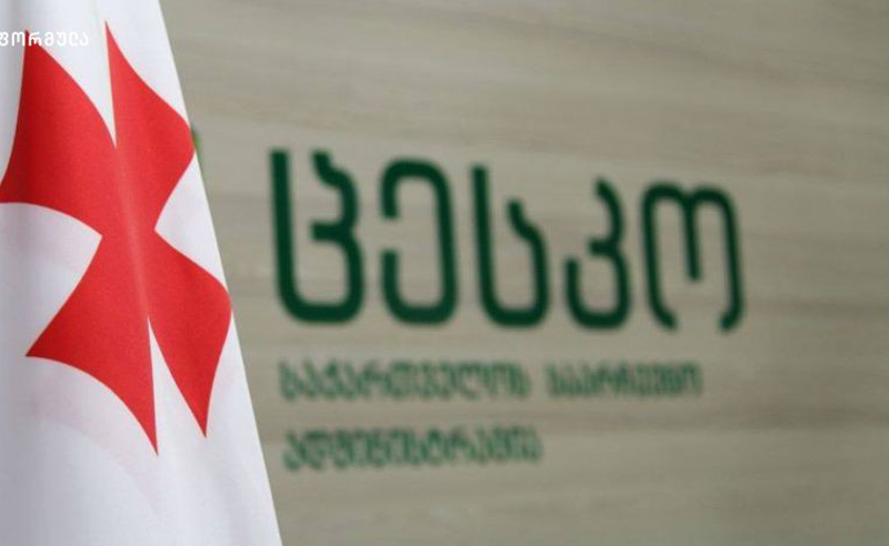 პარლამენტის ლეგიტიმურობაზე სარეფერენდუმო კითხვა ცესკომ არ დაარეგისტრირა