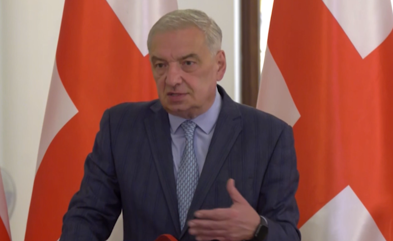 კობახიძის შემდეგ, გეორგიევსკის ტრაქტატის "დადებით შედეგებზე" ვოლსკიც საუბრობს