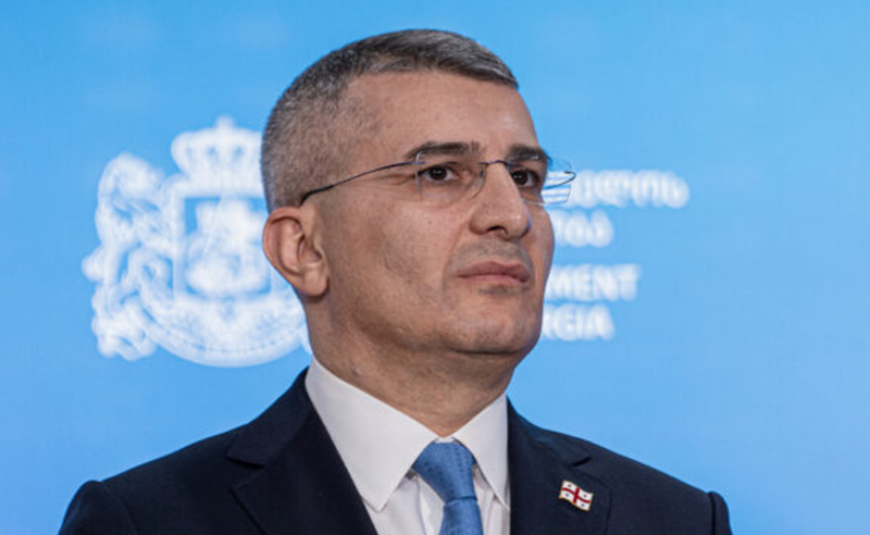 „ათეულობით ცხვრის ტყავში გახვეული ტურა გვყავს, რომელთა მწყემსები უცხოელები არიან“ - მდინარაძე ოპოზიციასა და არასამთავრობოებზე