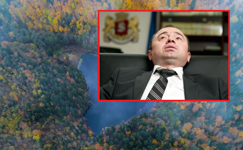 ერთი კვადრატული 60 თეთრად - ვის გადაეცა ბატეთის ტბა? 