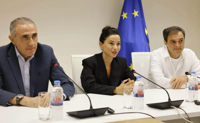 საქართველოს სახელმწიფო ელექტროსისტემის გენერალურ დირექტორად დავით ვარდიაშვილი დაინიშნა