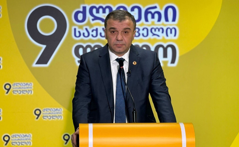 საიდან იცოდა ღარიბაშვილმა წინასწარ, რომ მას შესაძლოა ბრალი წარდგენოდა? - ლევან სამუშია 