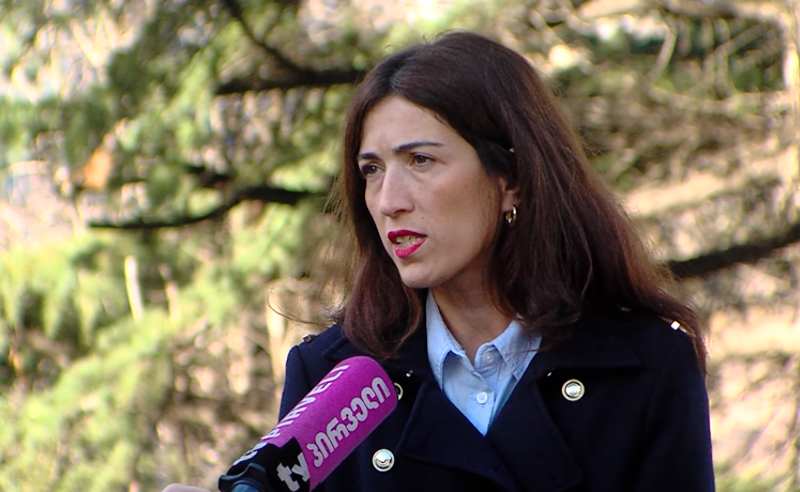 "ღარიბაშვილიც კი ადასტურებს, რომ დღეს სახელმწიფო, და მისი ყველა შტო მიტაცებულია" - ნინო დოლიძე
