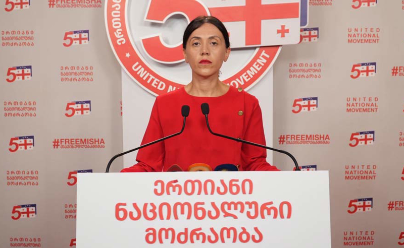 თუ ღარიბაშვილს თავის გადარჩენა უნდა, უნდა ილაპარაკოს - ანა წითლიძე 