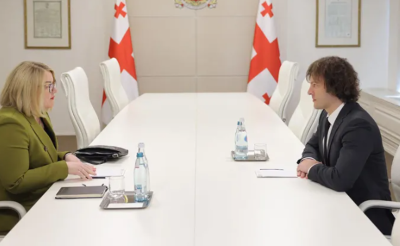 ირაკლი კობახიძე ამერიკის შეერთებული შტატების ელჩის მოვალეობის შემსრულებელს შეხვდა
