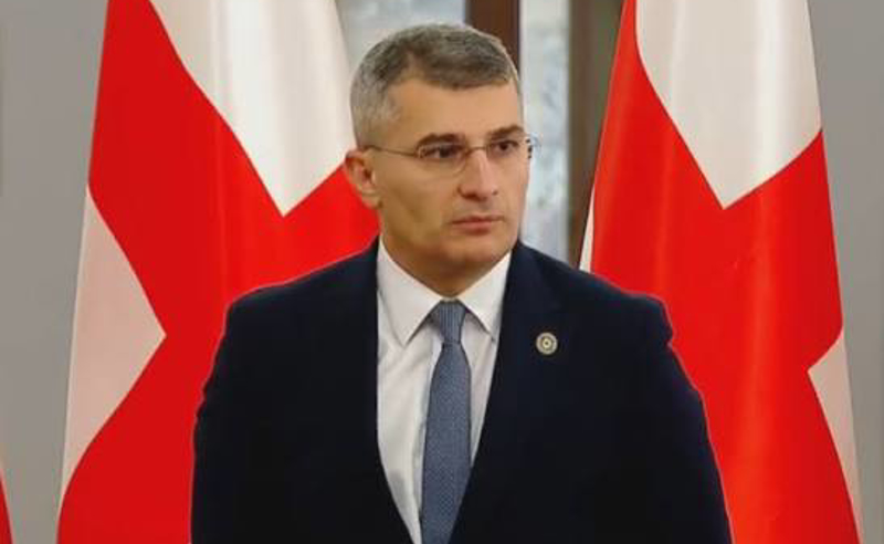 "ნაციონალური მოძრაობა" თორნიკე რიჟვაძის საქმეზე მამუკა მდინარაძის გამოკითხვას ითხოვს