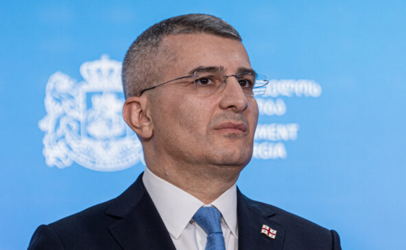  პლენარულ სხდომაზე სიტყვით გამოსვლისას მდინარაძე "ოცნებიდან" ერთადერთმა დეპუტატმა ახსენა