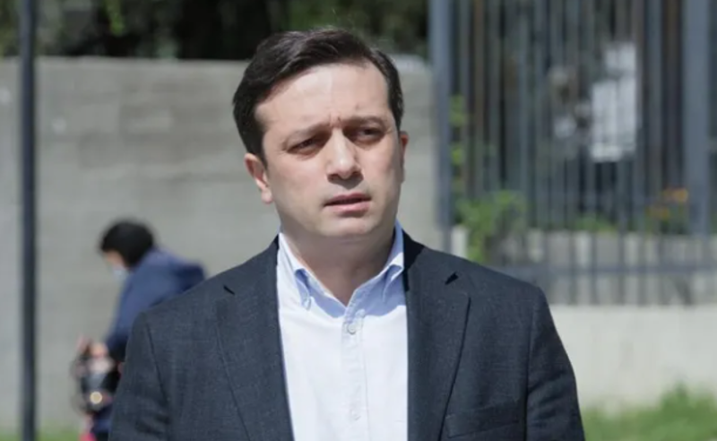 სახალხო დამცველი ირაკლი ღარიბაშვილს ხვდება