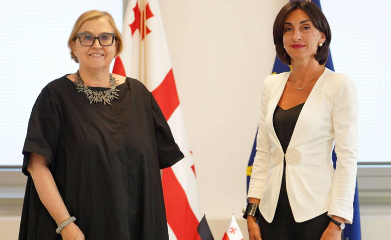 ბოჭორიშვილი გერმანიის ახალ ელჩს შეხვდა - რაზე ისაუბრეს?