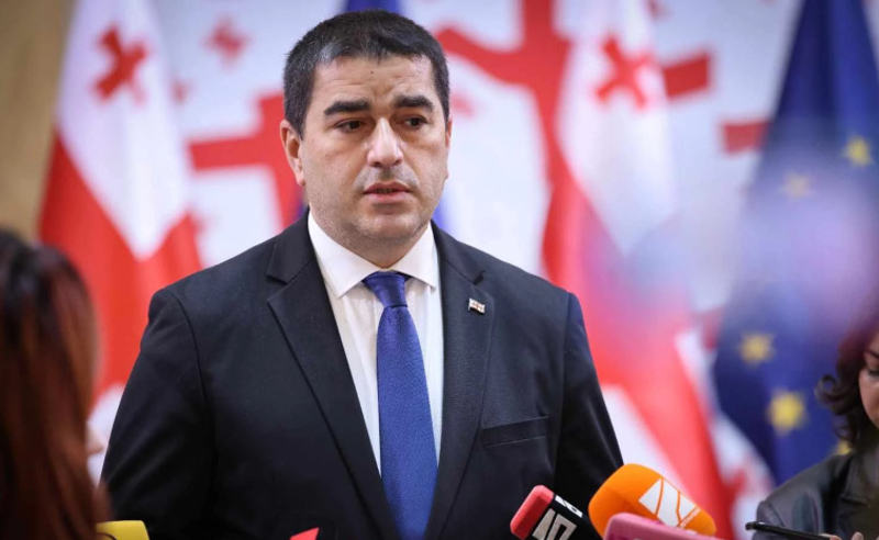 პაპუაშვილი ბრიუსელს „ცრუ ნარატივის“ გავრცელებასა და „რევოლუციური სცენარის“ მხარდაჭერებაში ადანაშაულებს