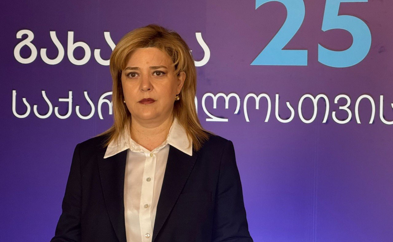 პარლამენტის თავმჯდომარის განცხადება ახალგაზრდების დაცინვაა - ქეთევან ბაკარაძე