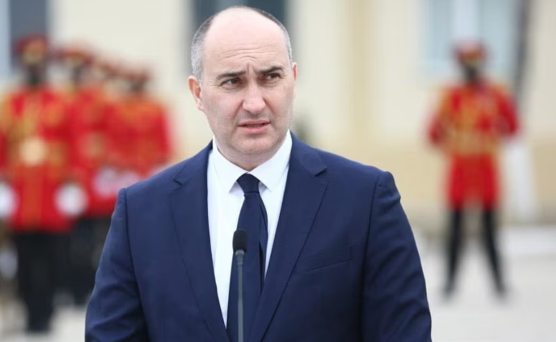 სასამართლოში წერილი მიიტანეს: თავდაცვის სამინისტრო ბურჭულაძესთან საპროცესო გარიგების გაფორმებას დათანხმდა