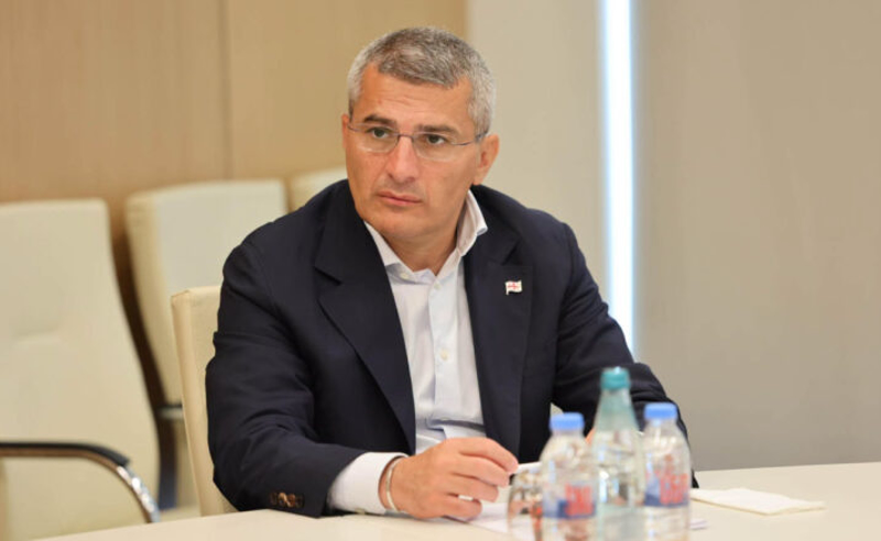 მდინარაძეს სახელმწიფო დაცვა დაუნიშნეს