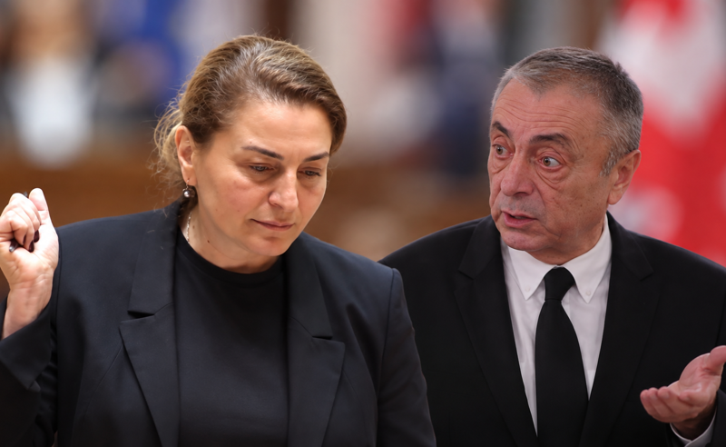 ხმაური პარლამენტში: ერთმანეთს სოფო ხორგუანი და თენზიზ შარმანაშვილი დაუპირისპირდნენ