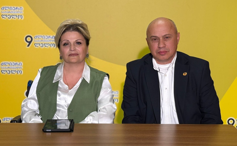 "ძლიერ საქართველოში" სპეცსაჭიროების მქონე ბავშვების უფლების დარღვევაზე საუბრობენ და სპეცმასწავლებლების გაზრდას ითხოვენ