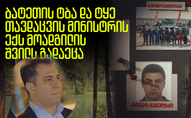 როგორ გაუფორმეს თავდაცვის მინისტრის ყოფილი მოადგილის შვილს ბატეთის ტბა და ტყე