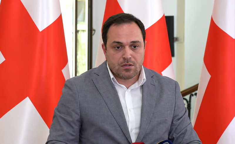 ღარიბაშვილმა თავად აღიარა ჩადენილი დანაშაული... ვინმემ დააბრალა? - გიორგი გაბუნია