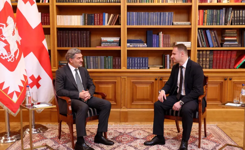 ყაველაშვილმა საკონსტიტუციო სასამართლოს მოსამართლედ გოგა კიკილაშვილი დანიშნა