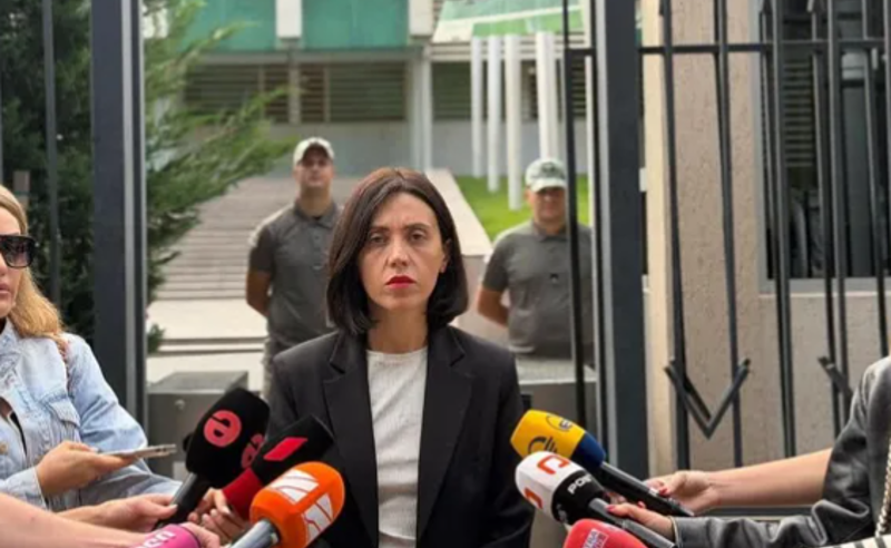 ივანიშვილი კლავს თქვენს მეგობრებს და თქვენი დუმილი ამის ხელშეწყობაა - ანა წითლიძე სუს-ის თანამშრომლებს მიმართავს