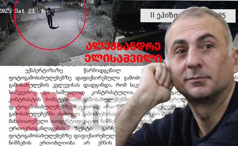  ე.წ. ძაღლების საქმე თაროზე შემოდეს - ელისაშვილის ადვოკატები სასამართლოში საქმის დაუყოვნებლივ განახლებას ითხოვენ