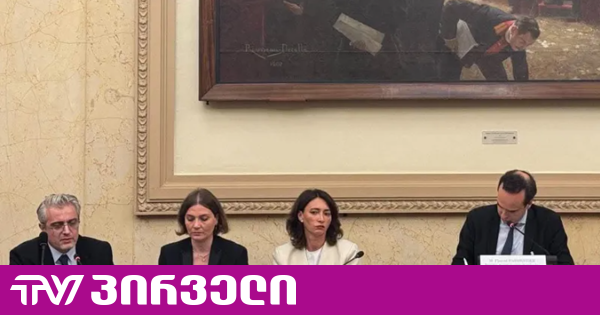 ნუ დატოვებთ საქართველოს მოქალაქეებს მარტო - ეკა გიგაურის გამოსვლა საფრანგეთის ეროვნულ ასამბლეაში